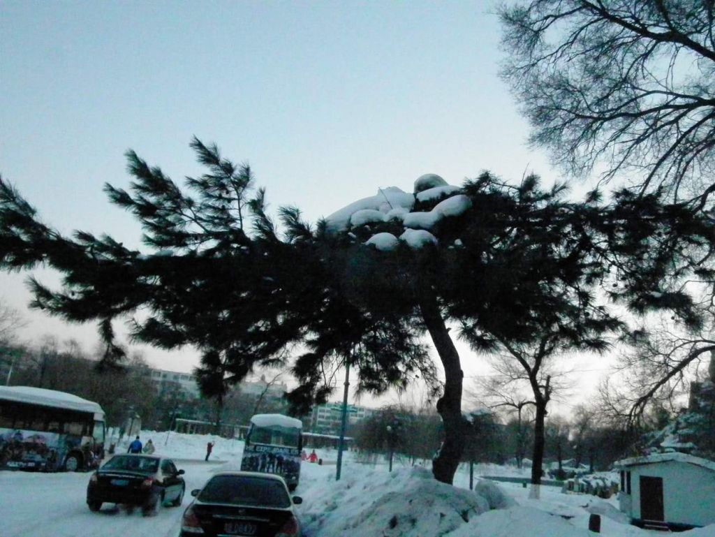 DSCF2141.JPG