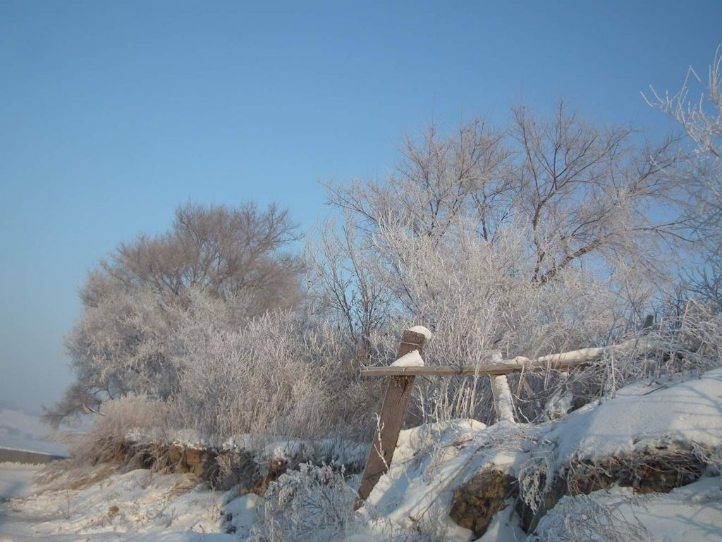 DSCF2469.JPG