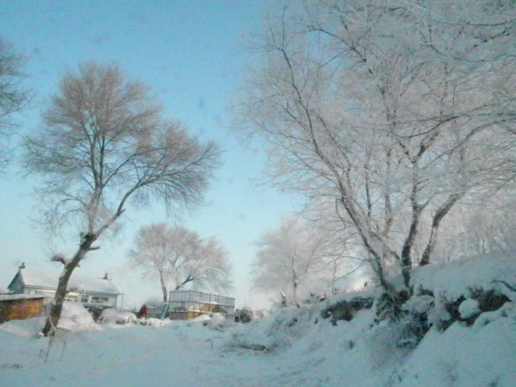 DSCF2407.JPG