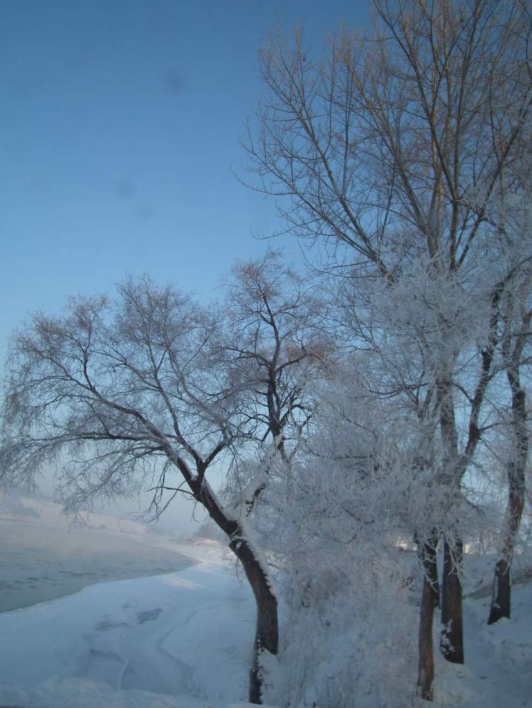DSCF2421.JPG