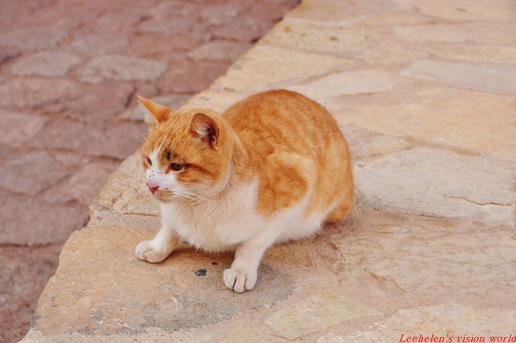DSC_0857.jpg