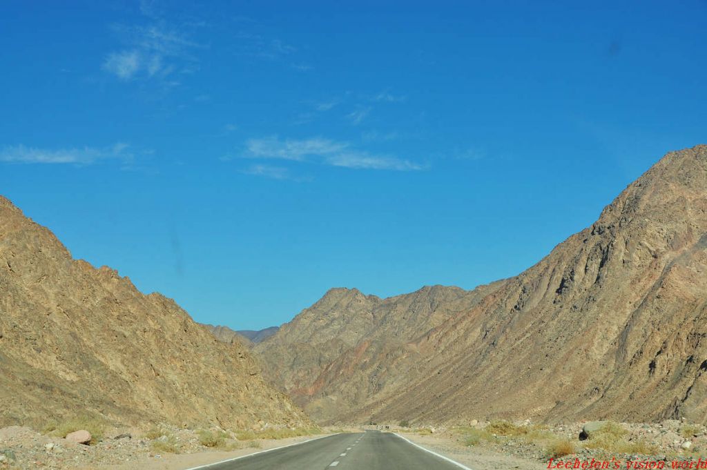 DSC_0200.jpg
