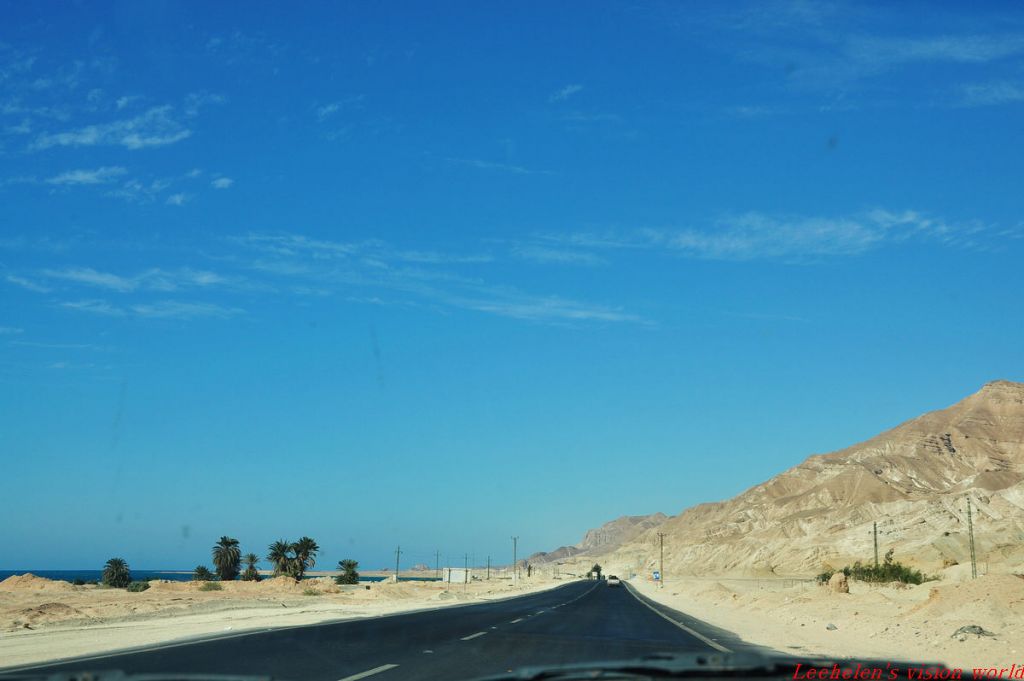 DSC_0226.jpg