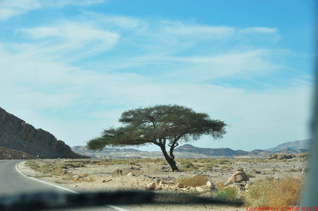 DSC_0209.jpg