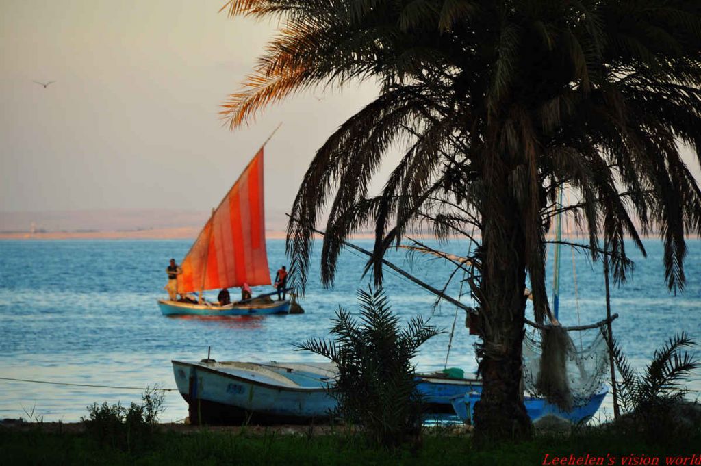 DSC_0348.jpg