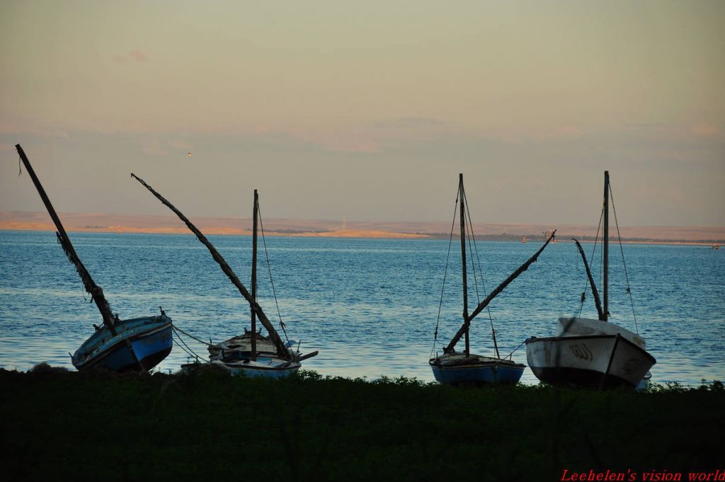 DSC_0350.jpg