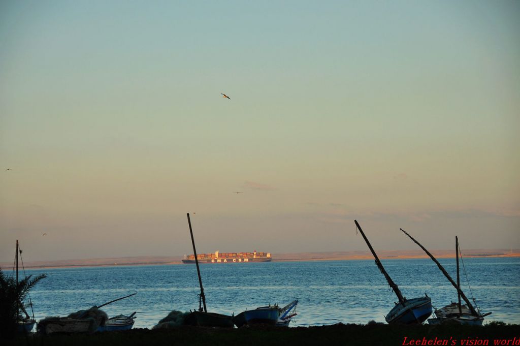 DSC_0356.jpg