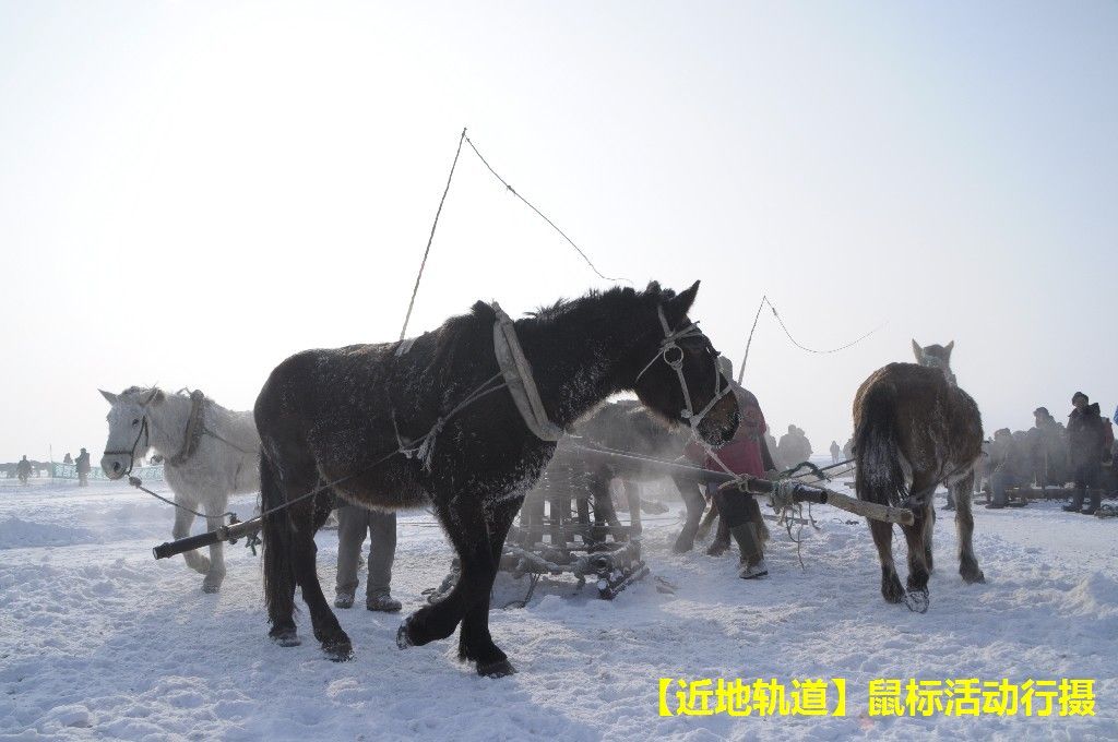 BigBull_BigBull__DSC0536.JPG