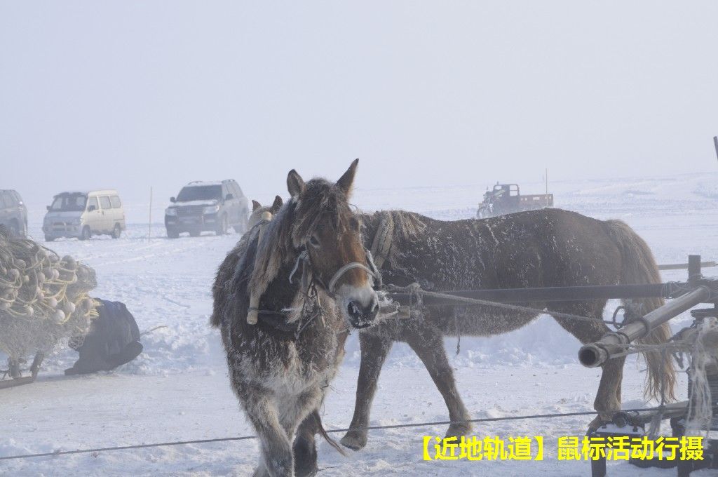 BigBull_BigBull__DSC0554.JPG