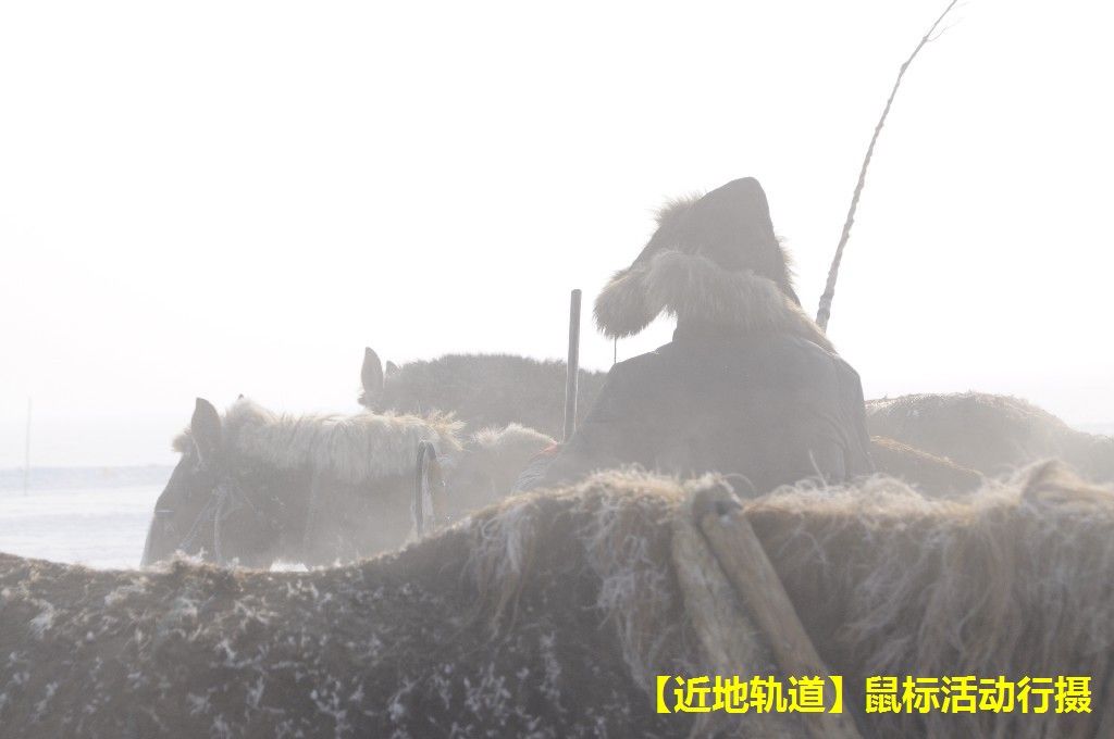 BigBull_BigBull__DSC0558.JPG