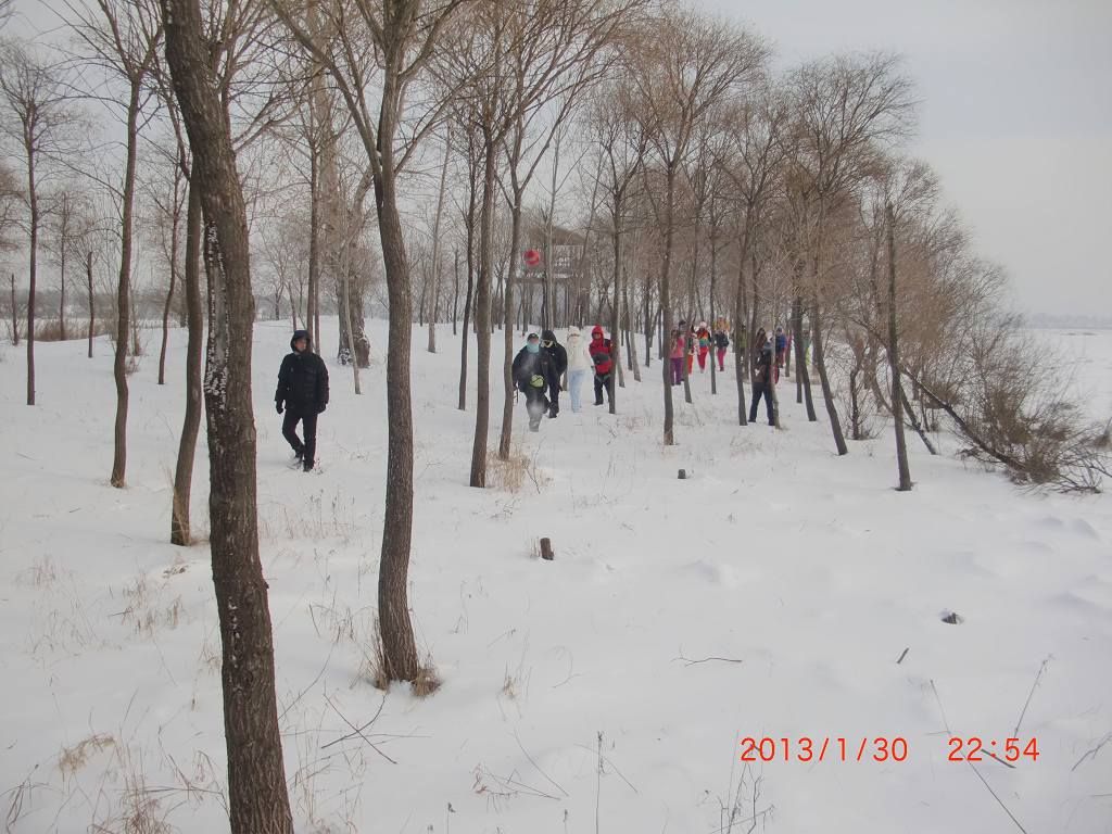 CIMG0022.jpg