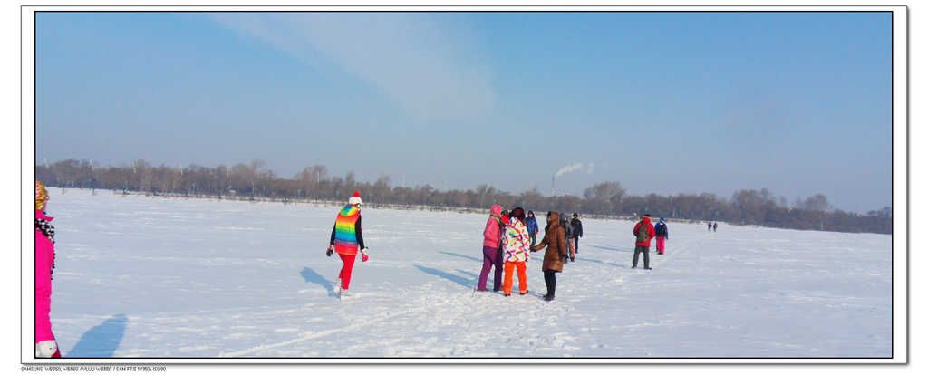SDC13313.jpg