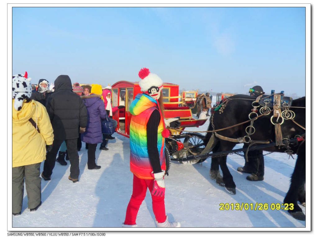 SDC13288.jpg