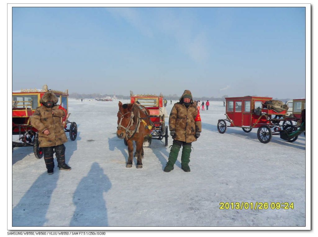 SDC13291.jpg