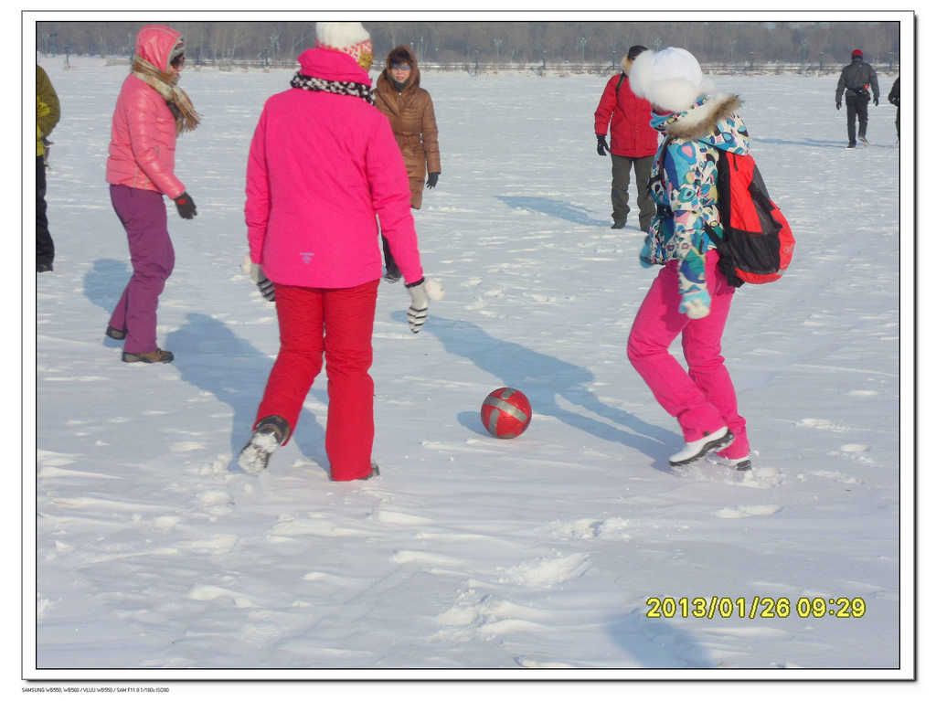 SDC13306.jpg