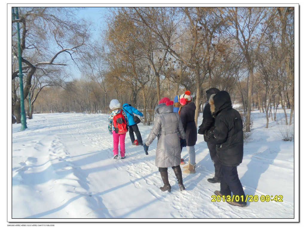 SDC13323.jpg
