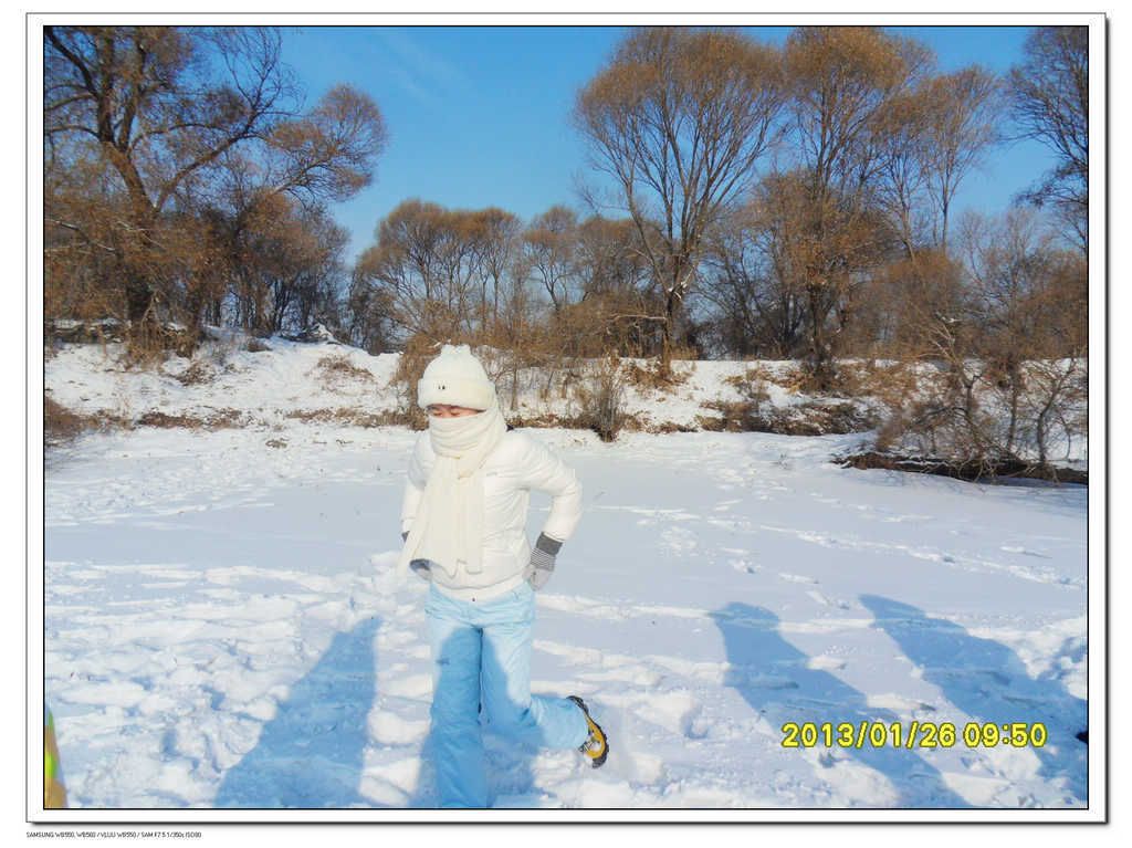 SDC13337.jpg