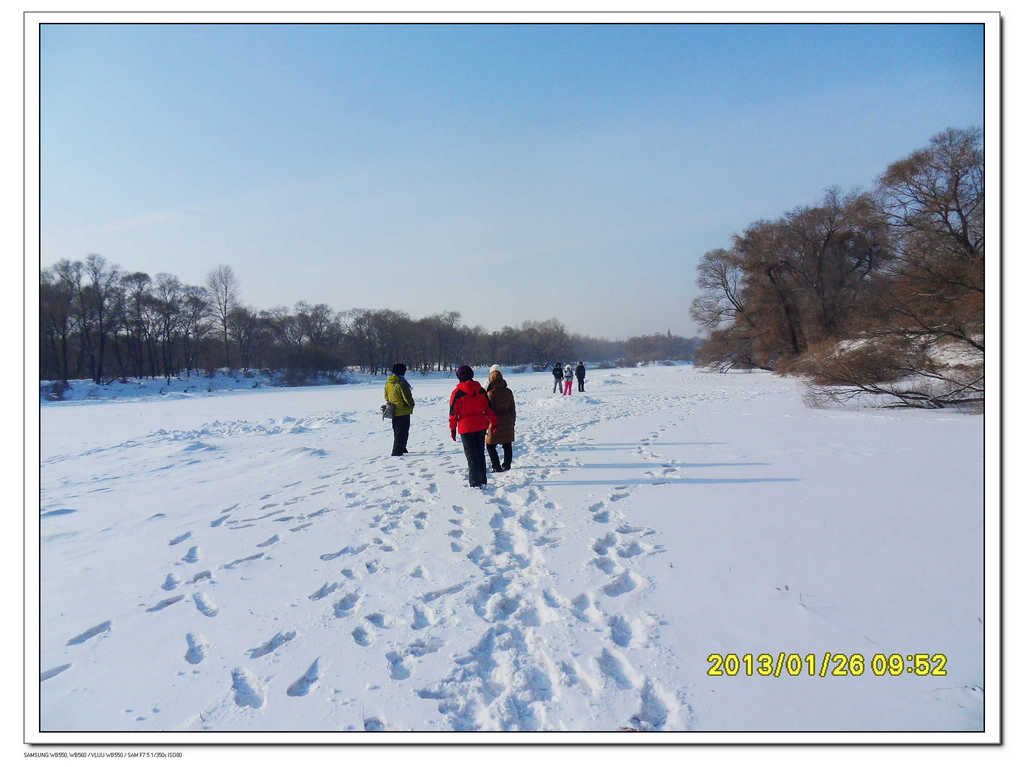 SDC13347.jpg