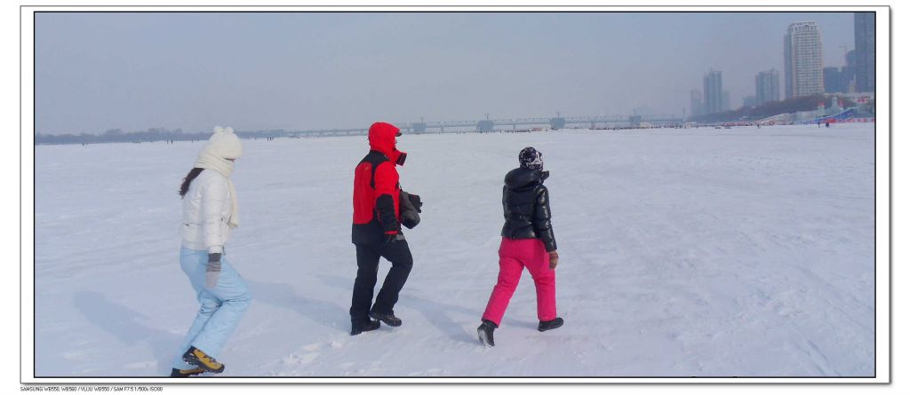 SDC13488.jpg