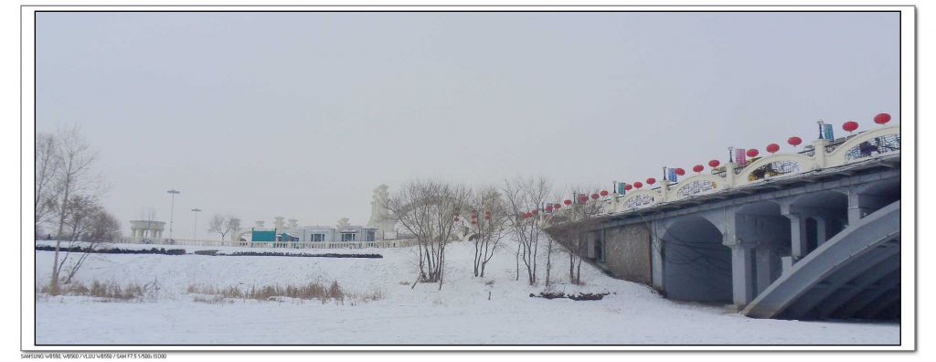 SDC13469.jpg