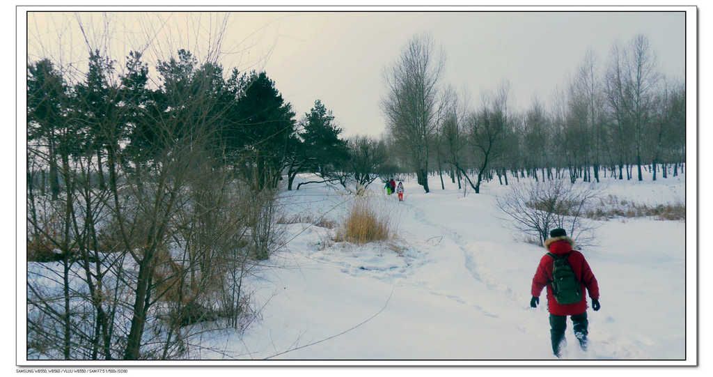 SDC13420.jpg