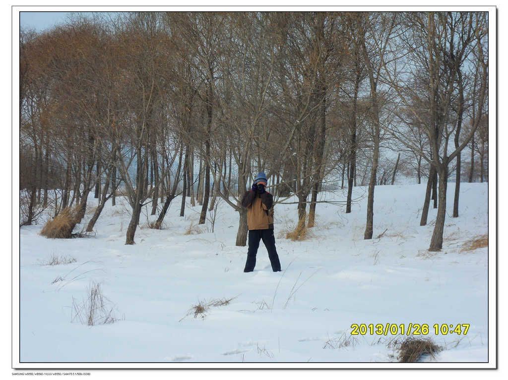 SDC13409.jpg