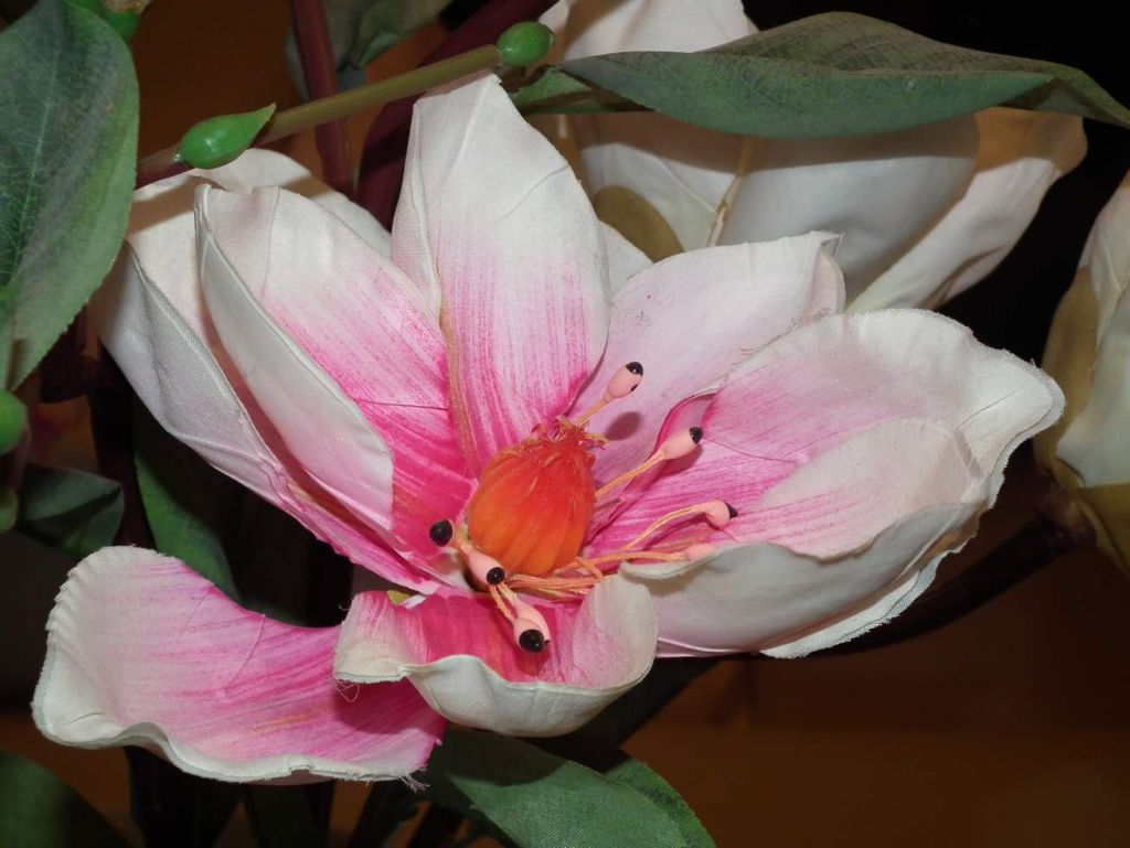 DSCF9141.JPG