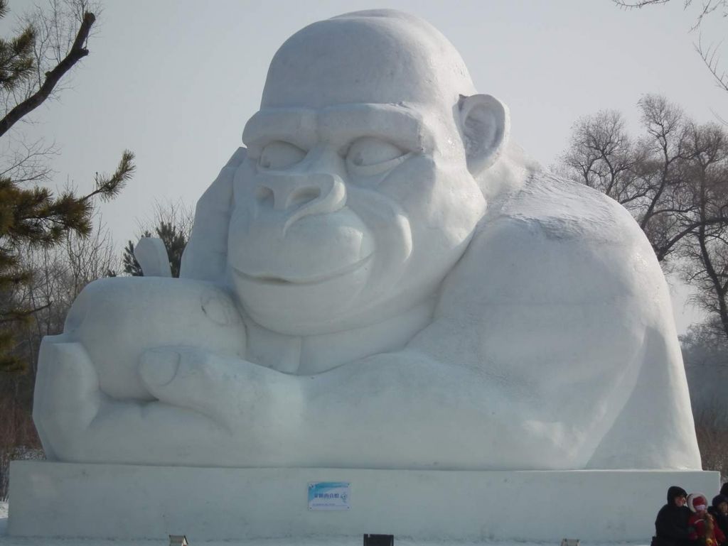 DSCF9486.JPG