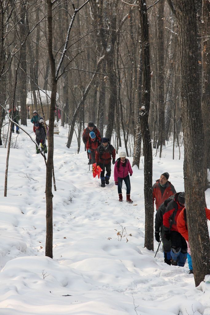 IMG_5263.jpg