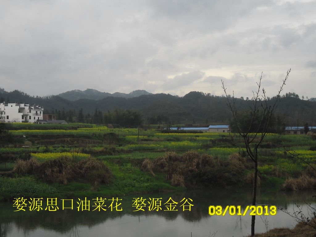 SAM_2636_����.jpg