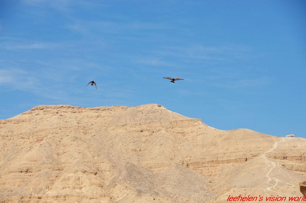 DSC_0723.jpg
