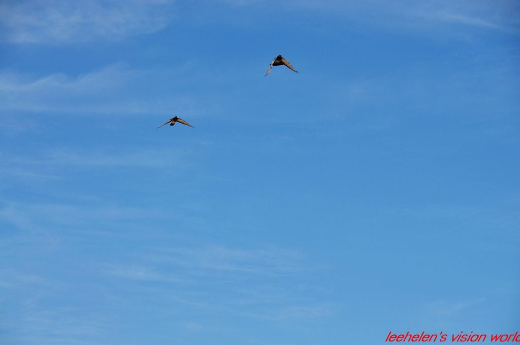 DSC_0724.jpg