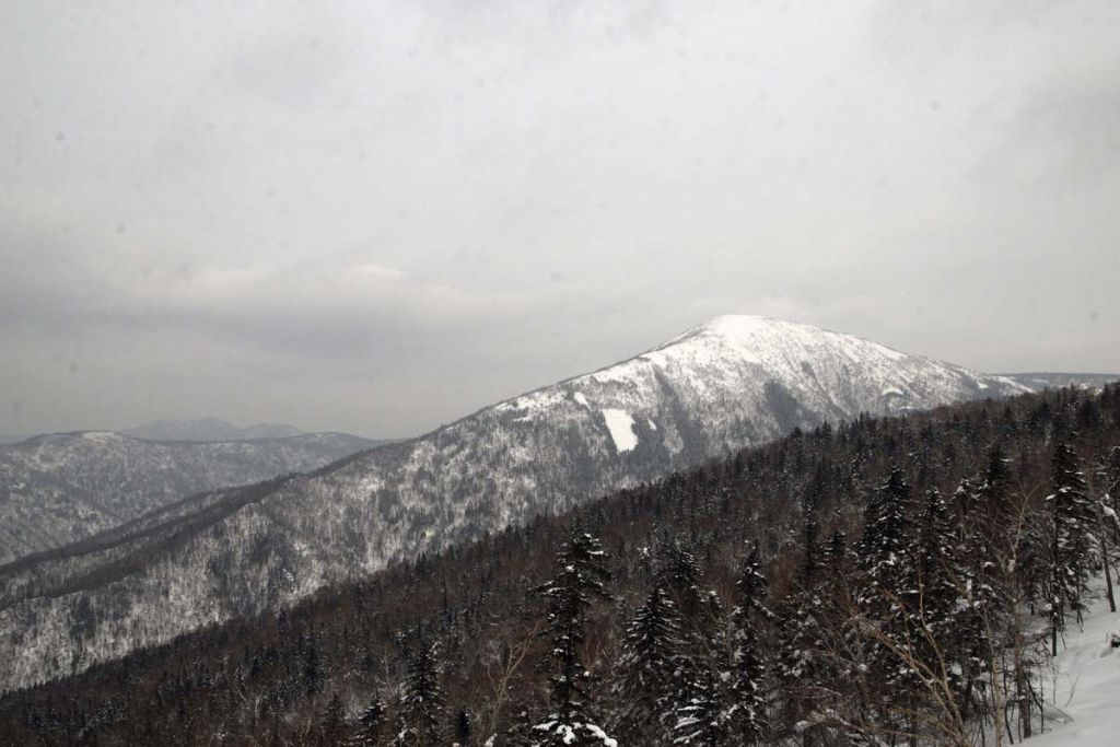 DPP_0957.jpg