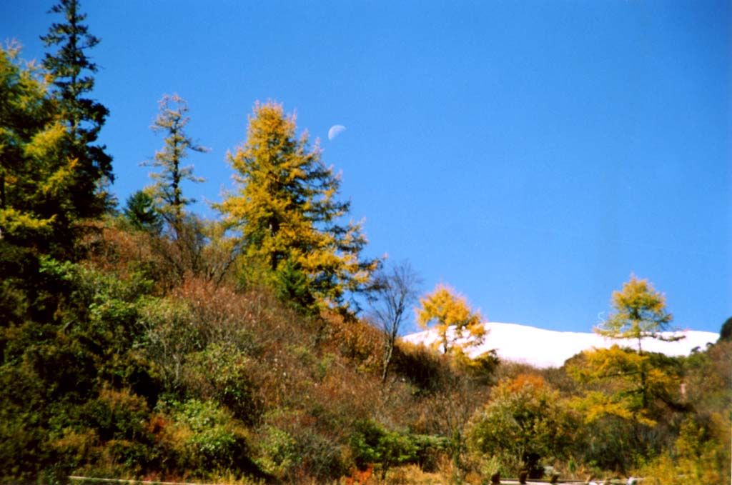 2615.jpg