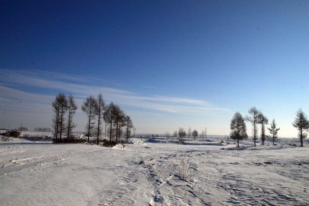 DPP_0010.jpg