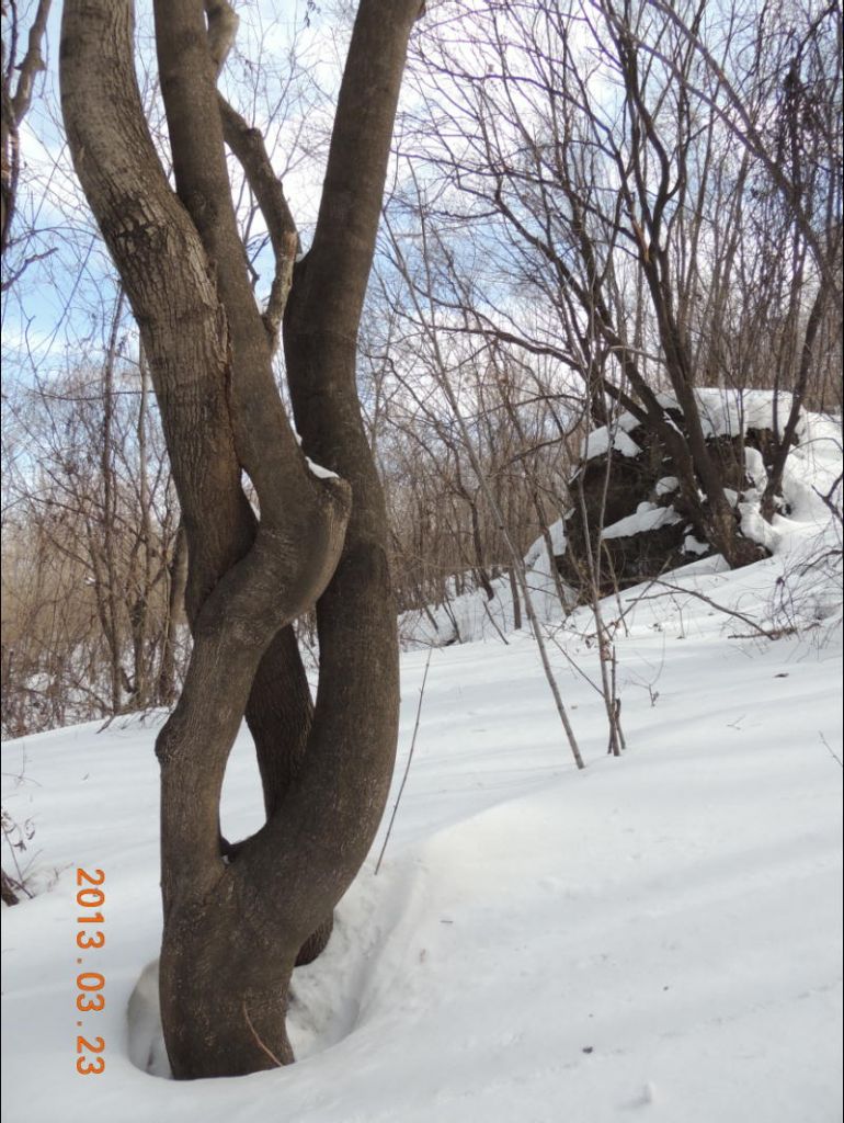 DSCN5552.JPG