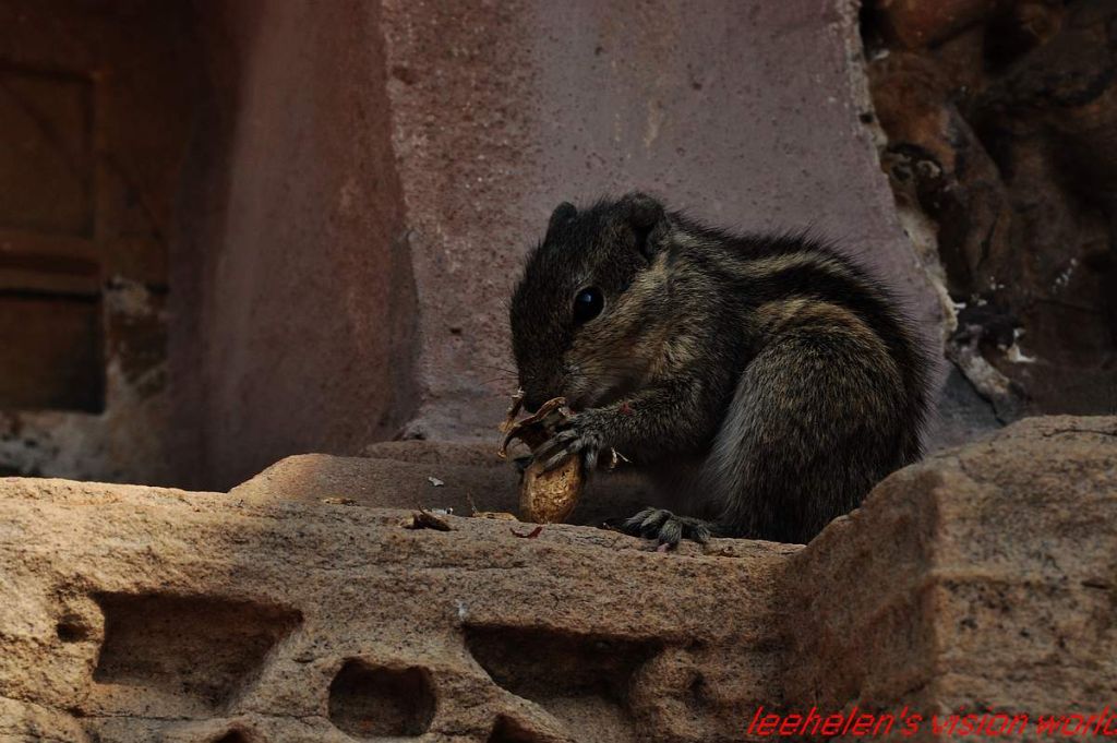 DSC_0089.jpg
