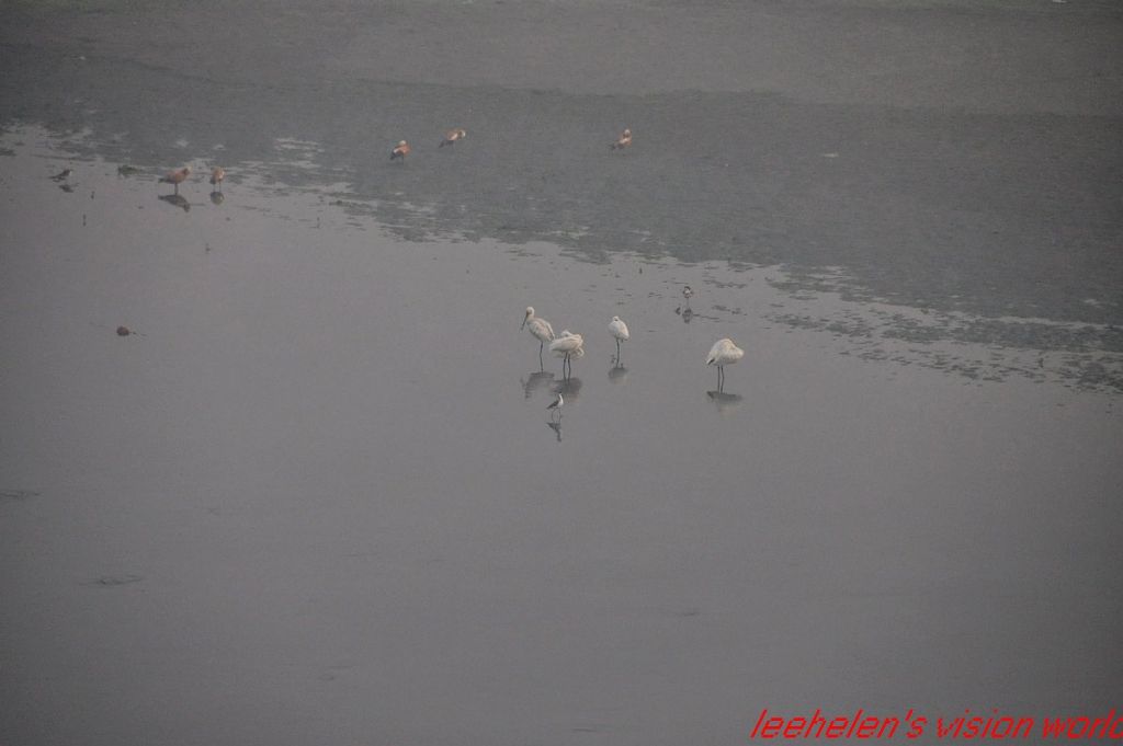 DSC_0508.jpg