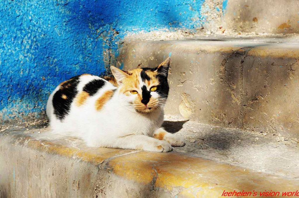 DSC_0289.jpg