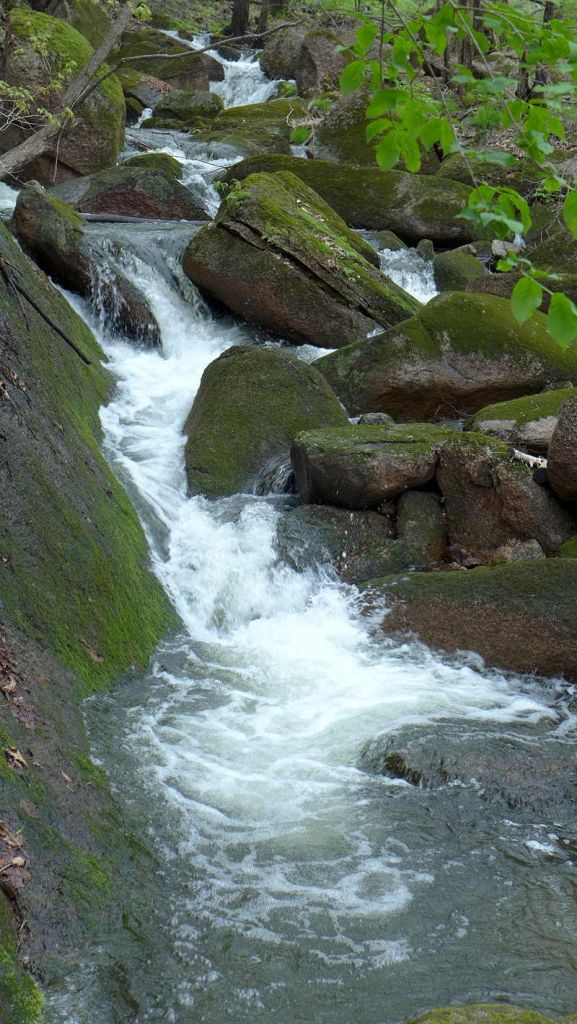 P1020238.JPG