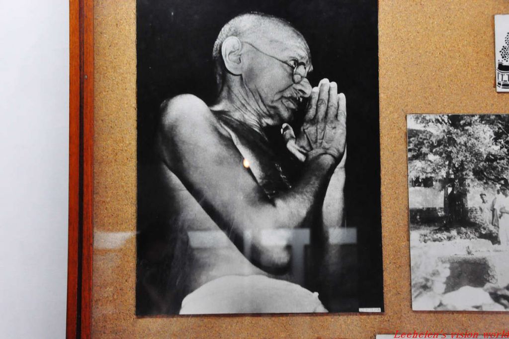 ���� DSC_0095.jpg