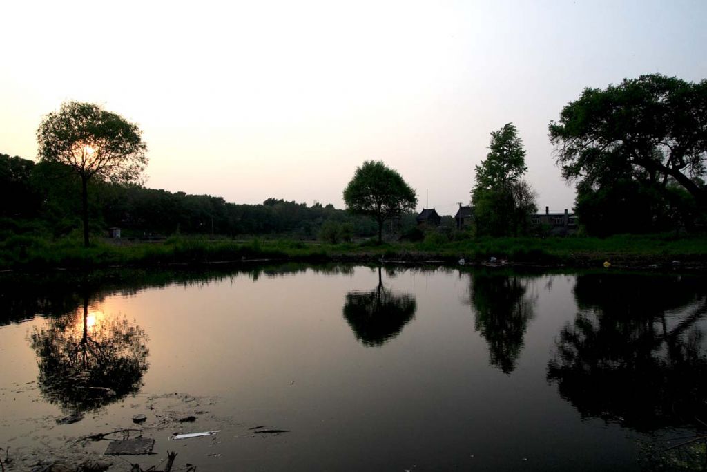 DPP_0065.jpg