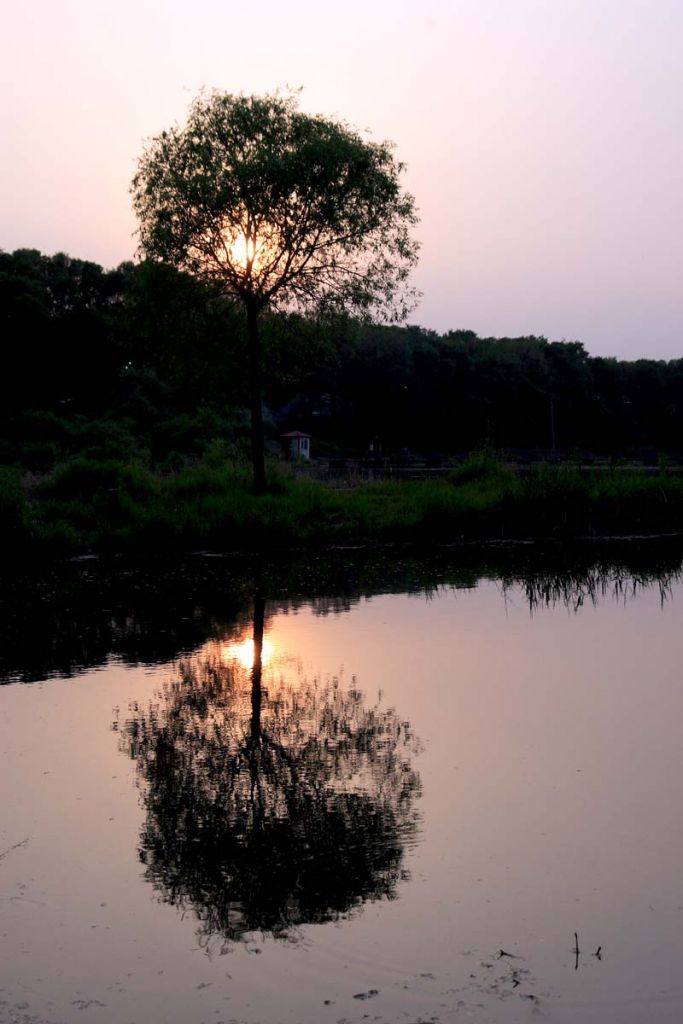 DPP_0071.jpg