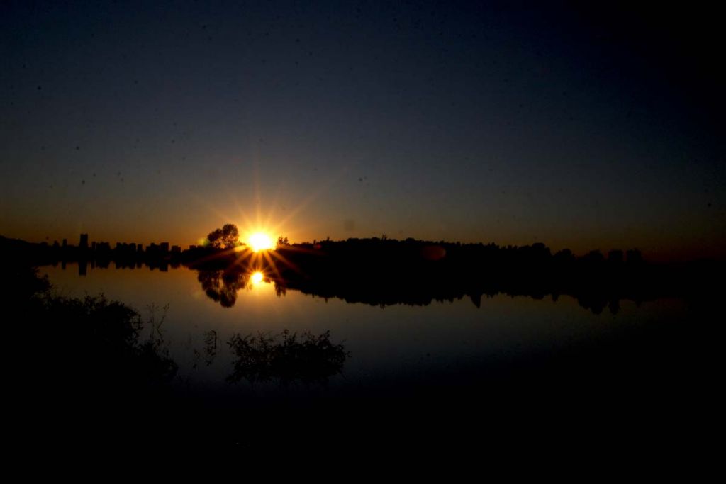 DPP_0447.jpg