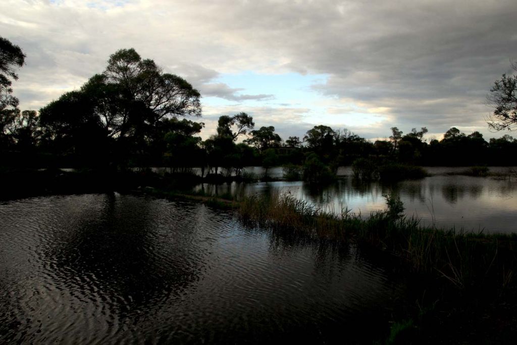DPP_0051.jpg