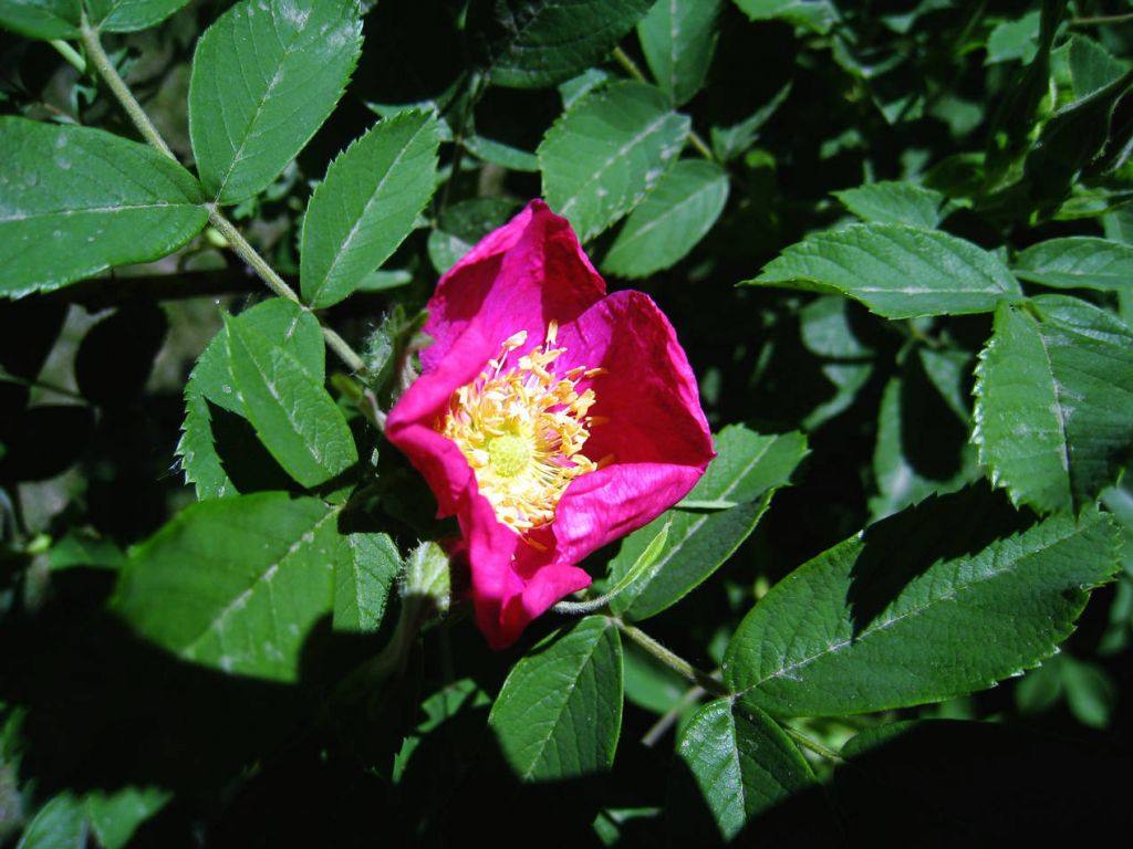 IMG_5678.JPG