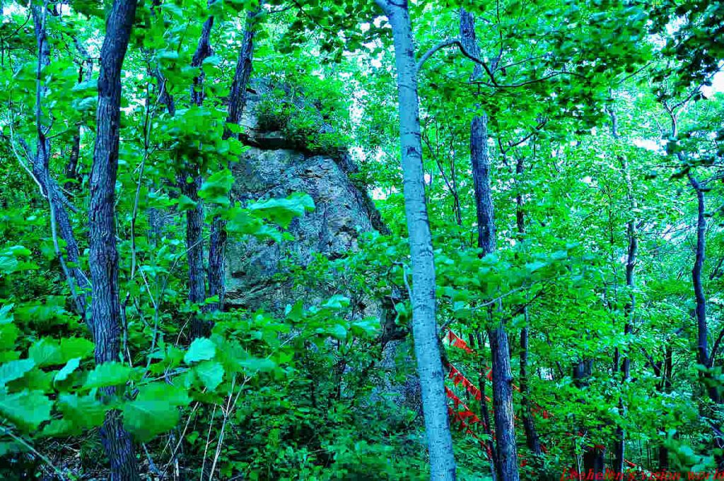 DSC_0375.jpg