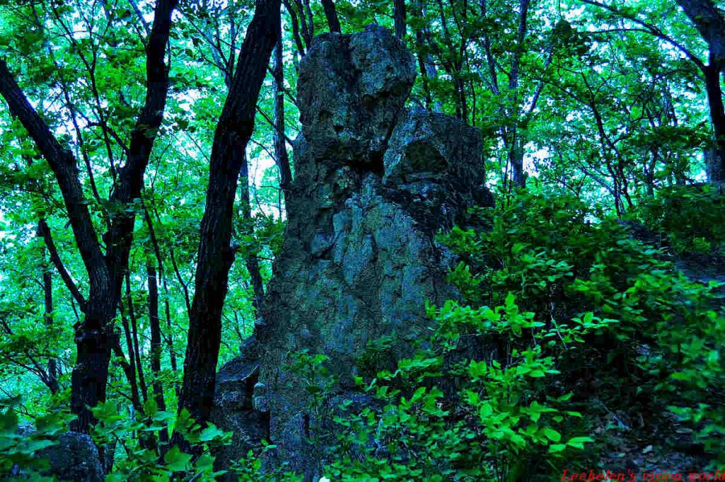 DSC_0370.jpg
