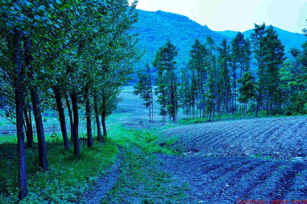 DSC_0395.jpg