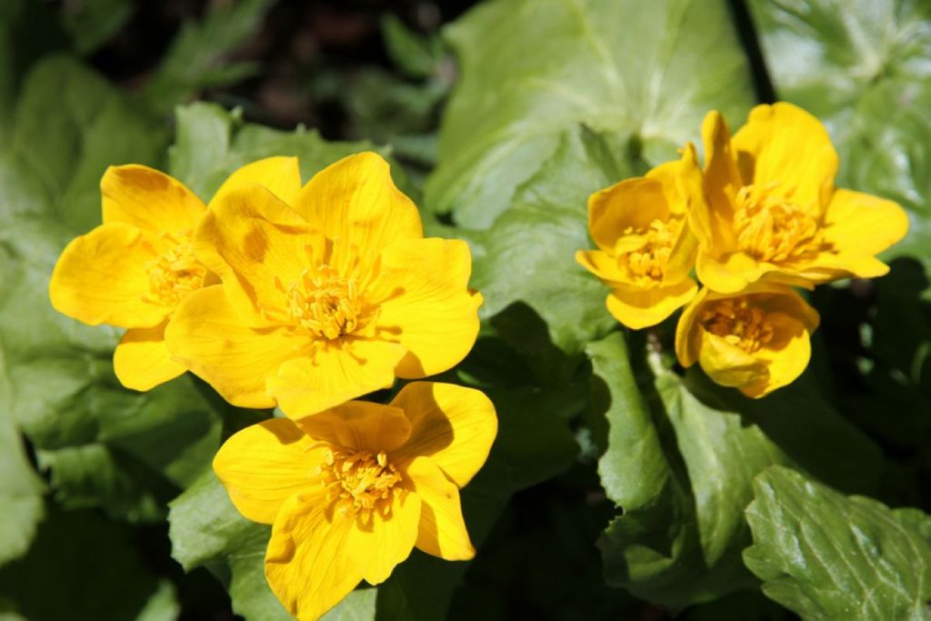 ���ɽ������Ƭ 226.jpg